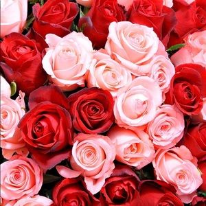 Meet your Posher, Alexia